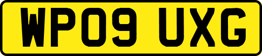 WP09UXG