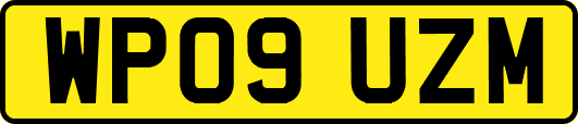 WP09UZM