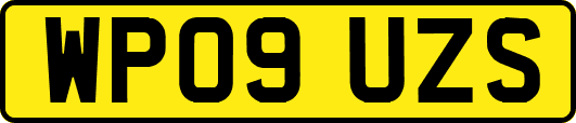 WP09UZS