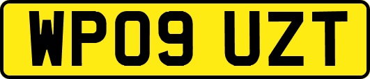 WP09UZT
