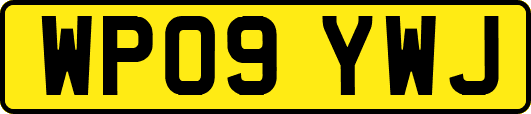 WP09YWJ