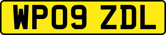 WP09ZDL