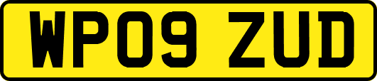 WP09ZUD