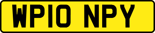 WP10NPY