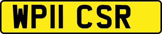 WP11CSR
