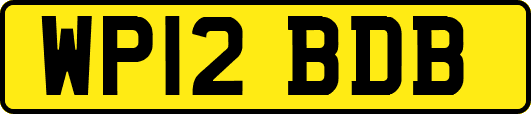 WP12BDB