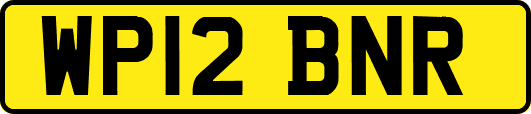 WP12BNR
