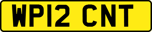 WP12CNT