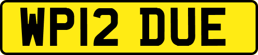 WP12DUE