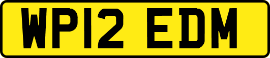 WP12EDM