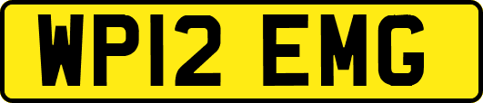 WP12EMG