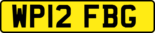 WP12FBG