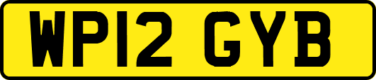 WP12GYB