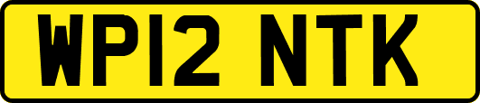 WP12NTK