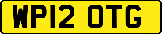 WP12OTG