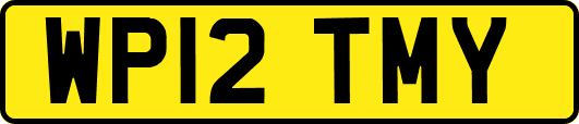 WP12TMY
