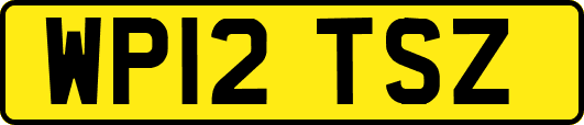 WP12TSZ