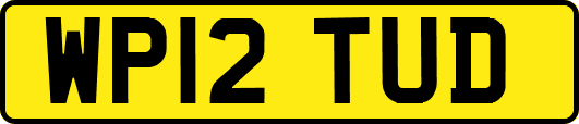 WP12TUD