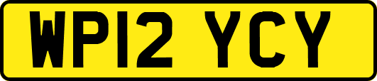 WP12YCY