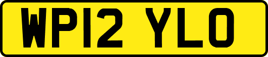 WP12YLO