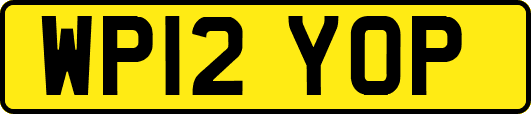 WP12YOP
