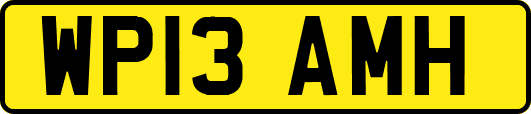 WP13AMH