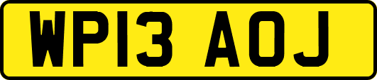WP13AOJ