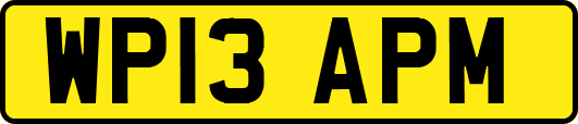 WP13APM