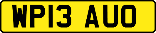 WP13AUO
