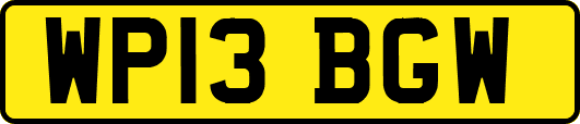 WP13BGW