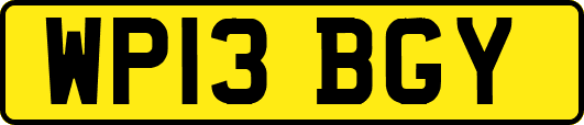WP13BGY