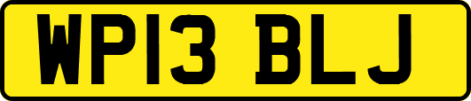 WP13BLJ