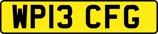 WP13CFG