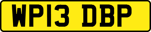 WP13DBP