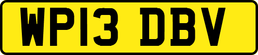 WP13DBV