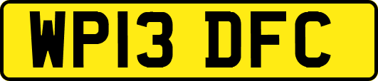 WP13DFC