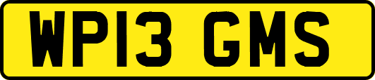 WP13GMS