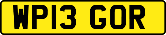 WP13GOR