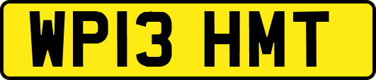 WP13HMT