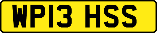 WP13HSS