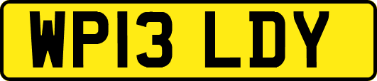 WP13LDY