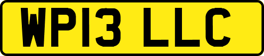 WP13LLC