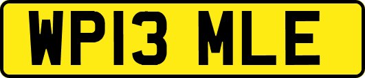 WP13MLE