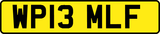WP13MLF