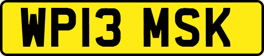 WP13MSK
