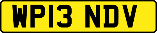 WP13NDV