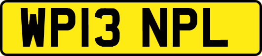 WP13NPL