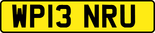 WP13NRU