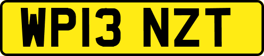 WP13NZT