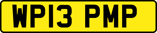 WP13PMP